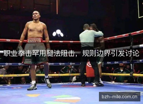 职业拳击罕用腿法阻击,规则边界引发讨论 职业拳击罕用腿法阻击,规则边界引发讨论